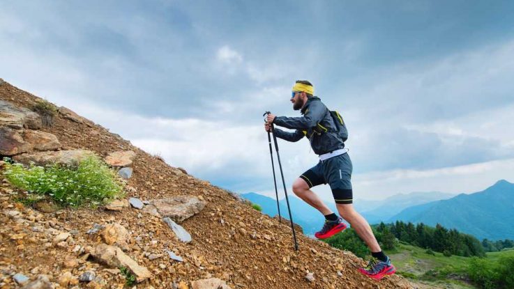 Běhání s holemi, nordic running