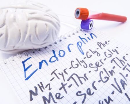 Endorfinová léčba a běhání